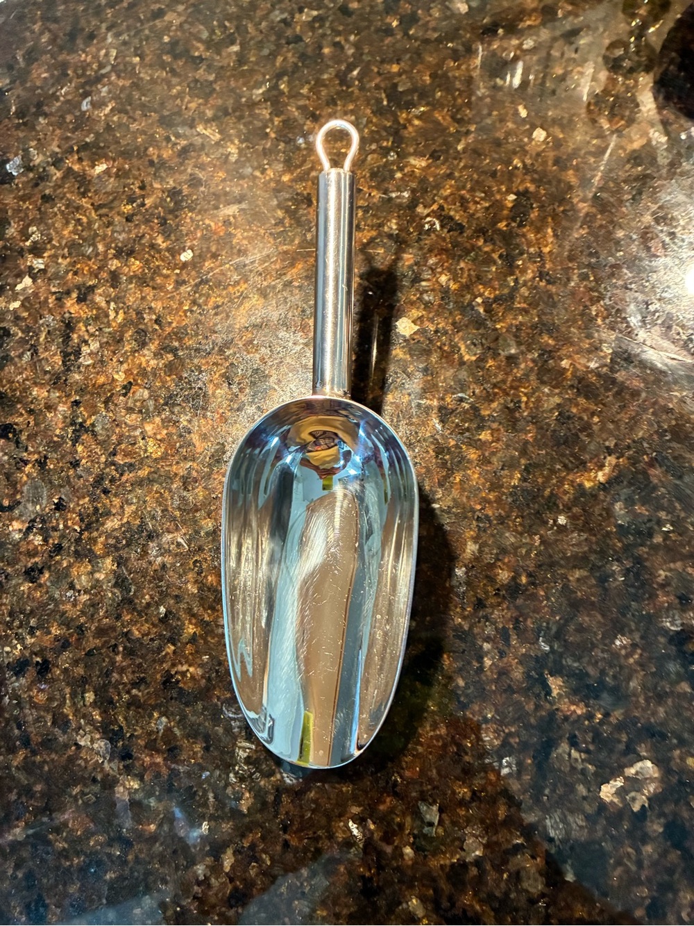 Source Unknown Silvertone Metal Scoop